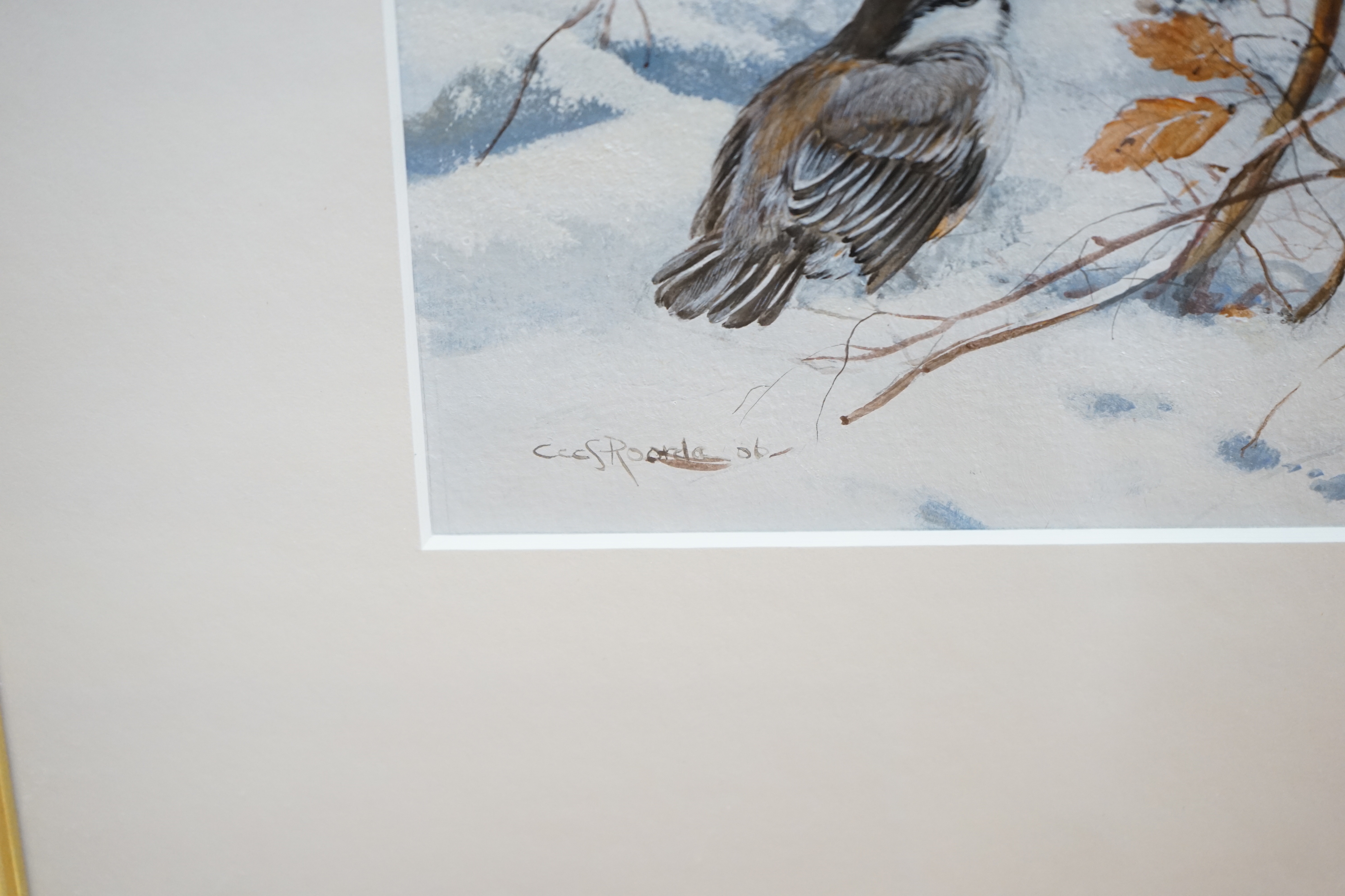 Cees Roorda (Dutch, 1942-), watercolour, ‘’Blue tits in a snowy landscape’’, signed, 22 x 30cm